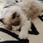 Nowoczesny pokrowiec na sofę z geometryczną fakturą - Luksusowy koc z mikrofibry