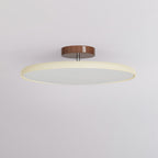 Regulowana Lampa Sufitowa LED – Kolorowe Światło do Sypialni i Salonu